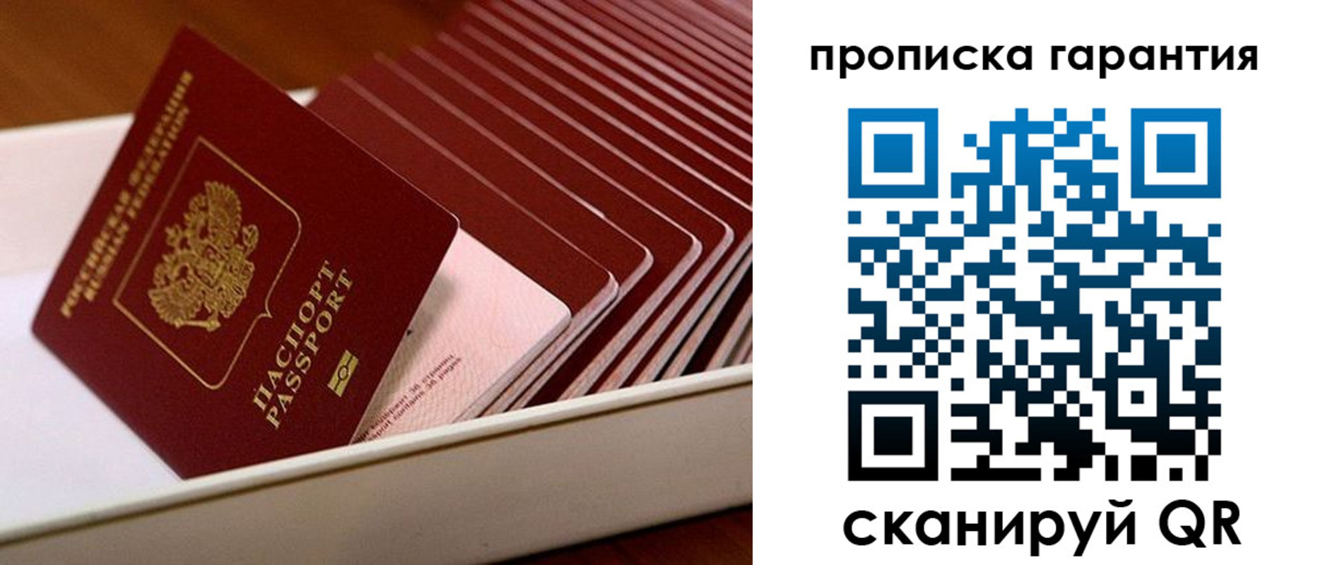 прописка поиск в Светлограде
